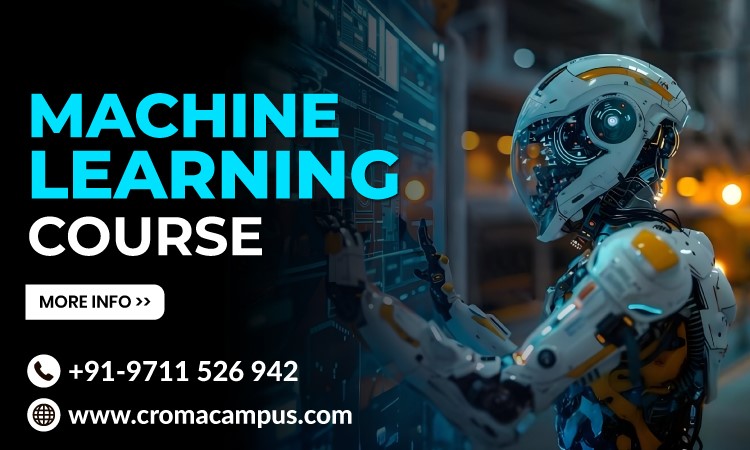 What are the Sector-Specific ML Models?