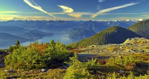 Citrus Sky Cannabis: A Refreshing Strain with Uplifting Effects and Tangy Flavor